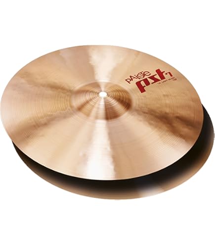 81+ZwrC4CzL._AC_UL495_SR435,